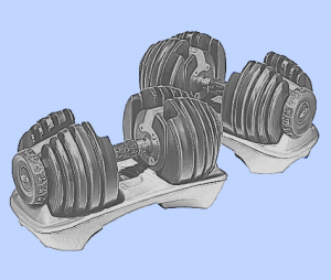 Adjustable Bowflex Weight Set
