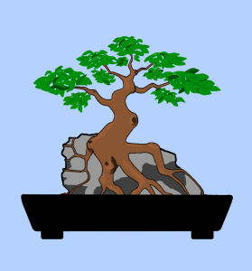 Favorite bonsai style - Informal Upright (Moyogi)