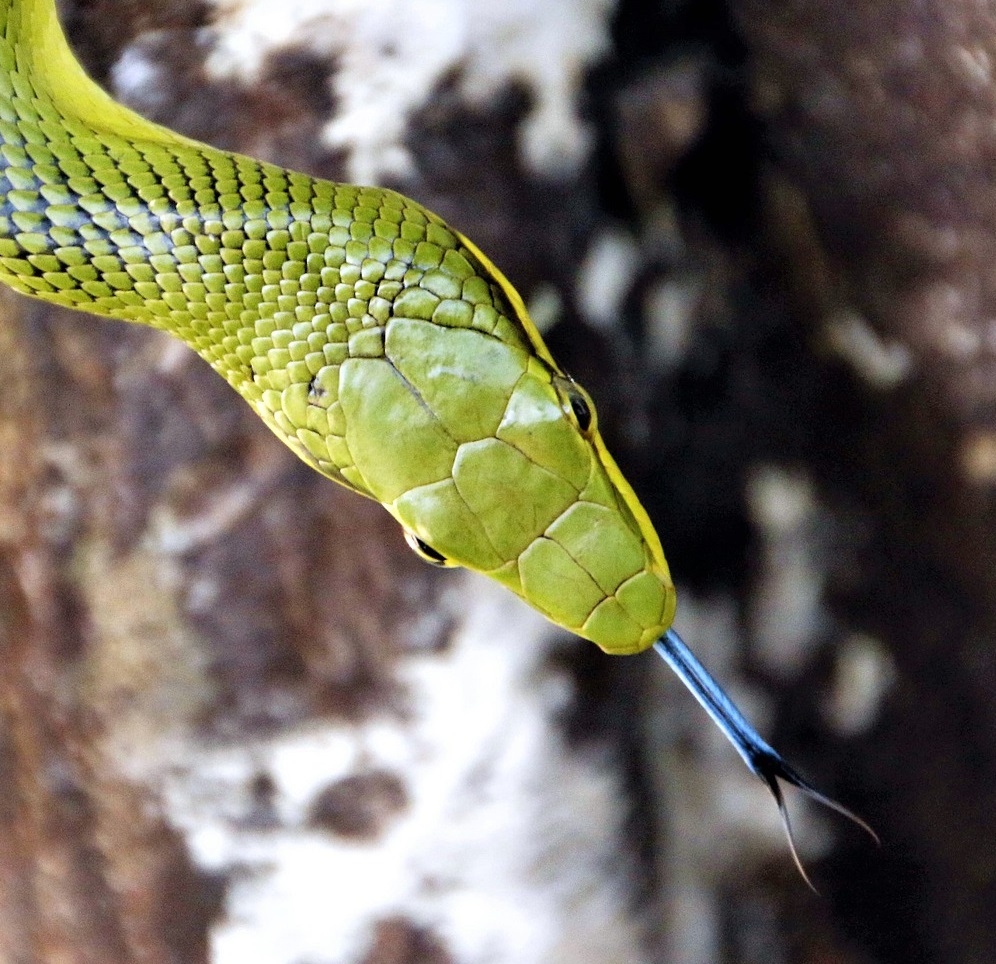 Safety: Save yourself and others